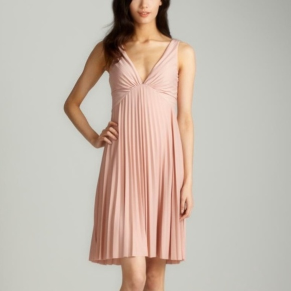 Halston Heritage Dresses & Skirts - NWOT Halston Heritage blush pink pleated dress